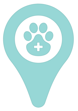 logo thevetoffice simple
